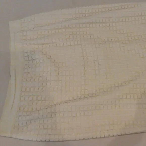 AnnTaylor Lace Skirt.  Ivory. Size 14 - Picture 2 of 4